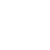 icons8-decoration-50 (1)